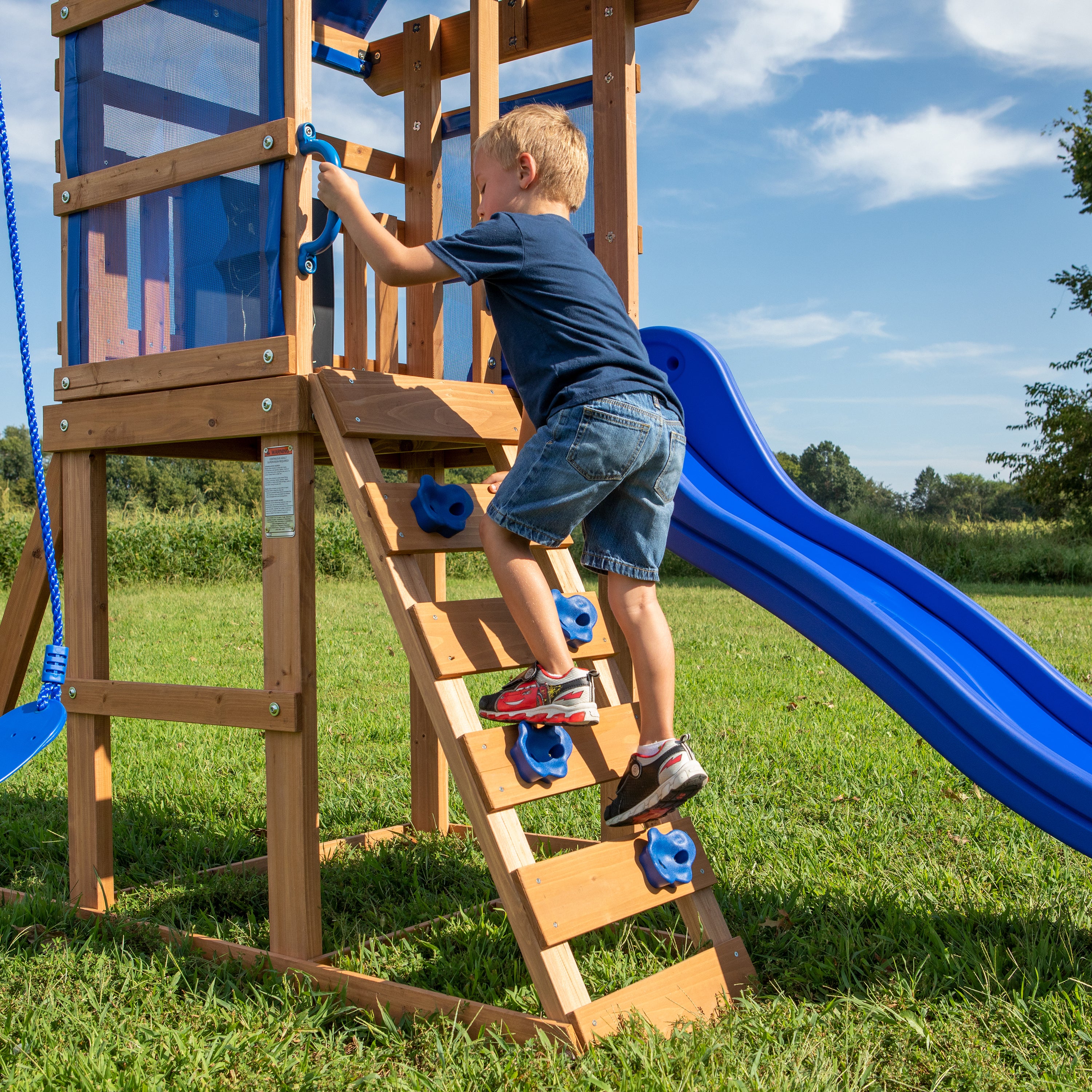 Aurora Swing Set Ladder