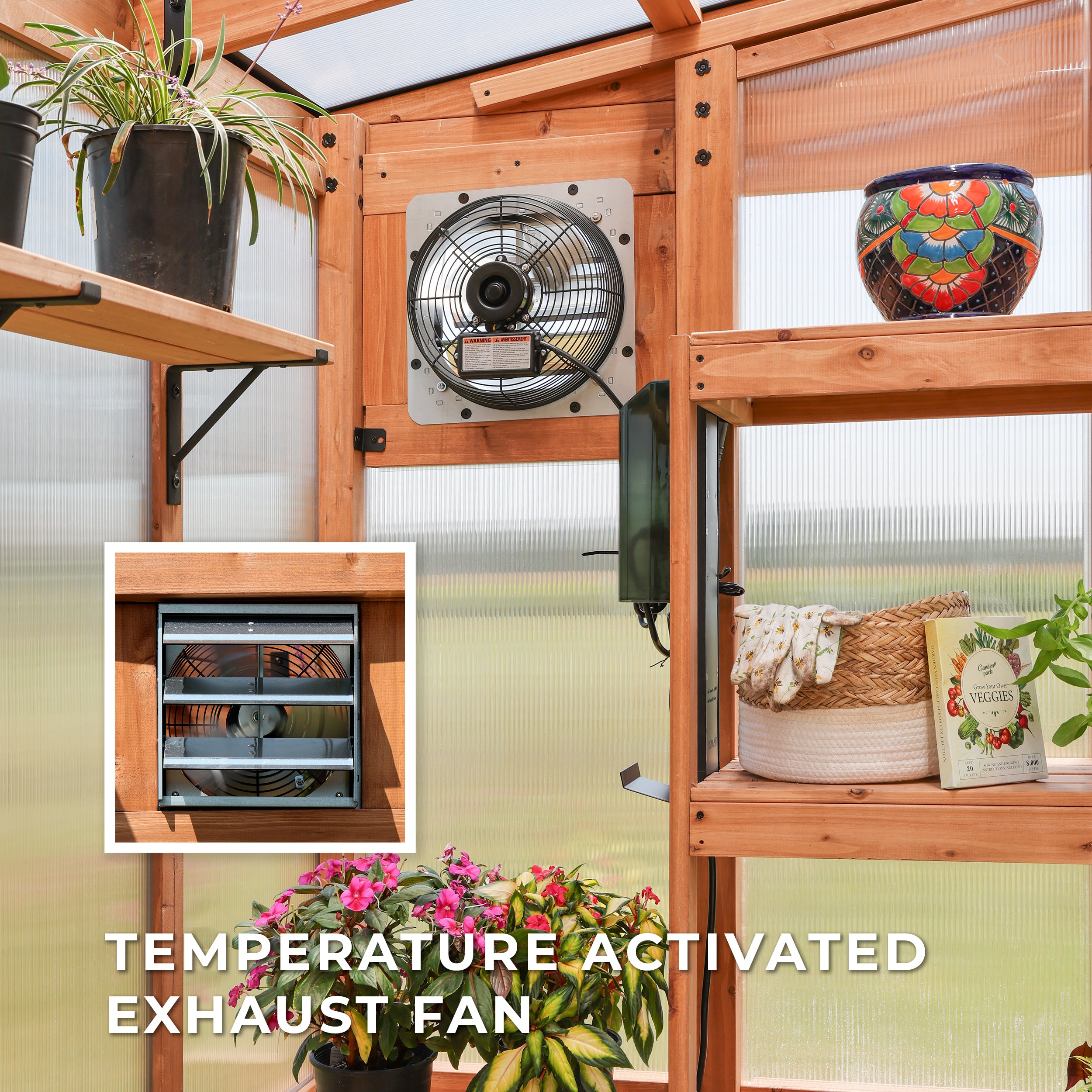 3.3m X 2.2m Poppy Greenhouse temperature activated exhaust fan