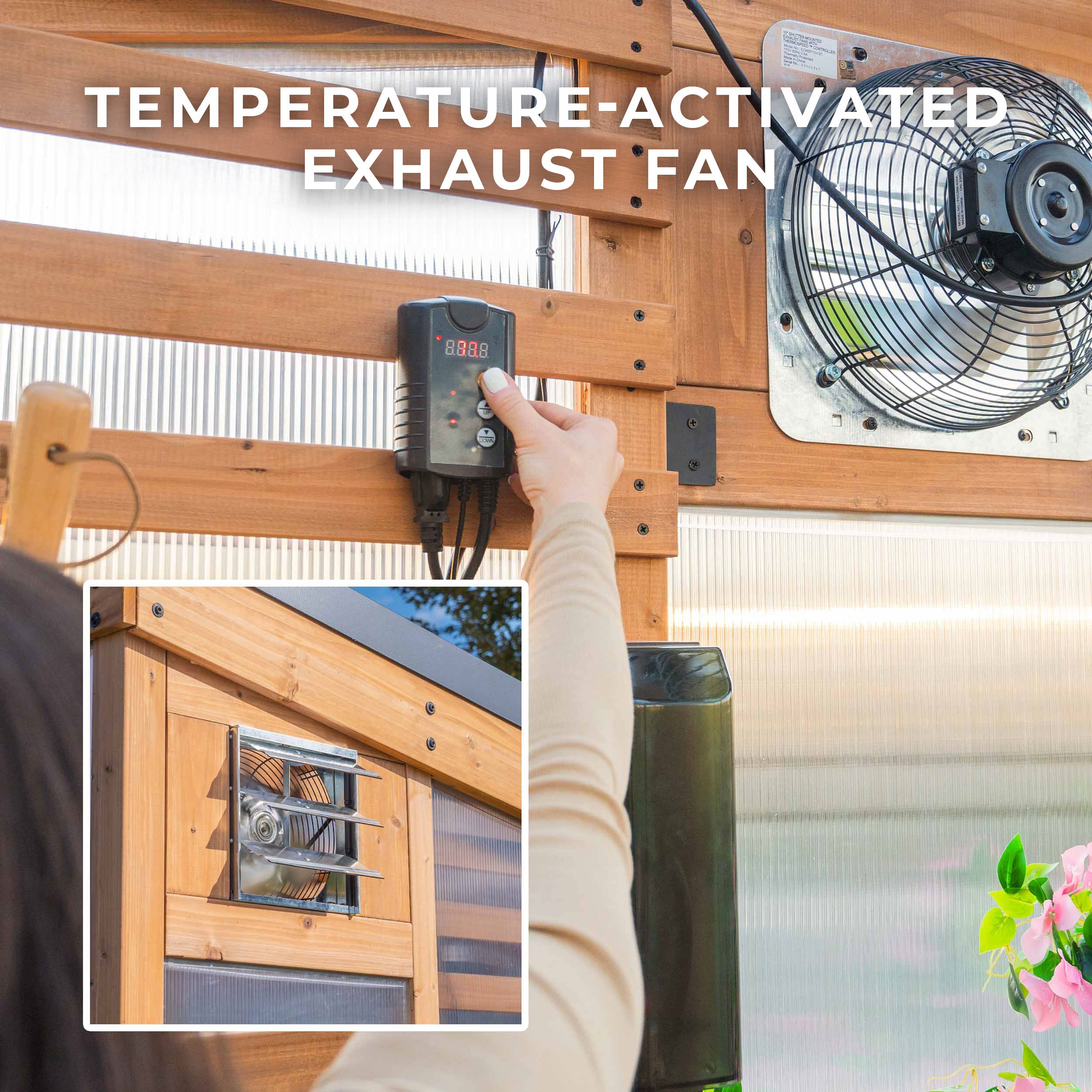 2.9m x 1.9m Willow Greenhouse