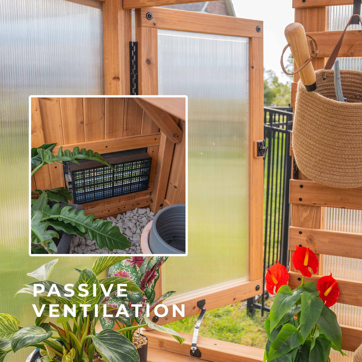 Cedar and polycarbonate door on the Willow greenhouse swings open, with an inset view of the intake vent inside.