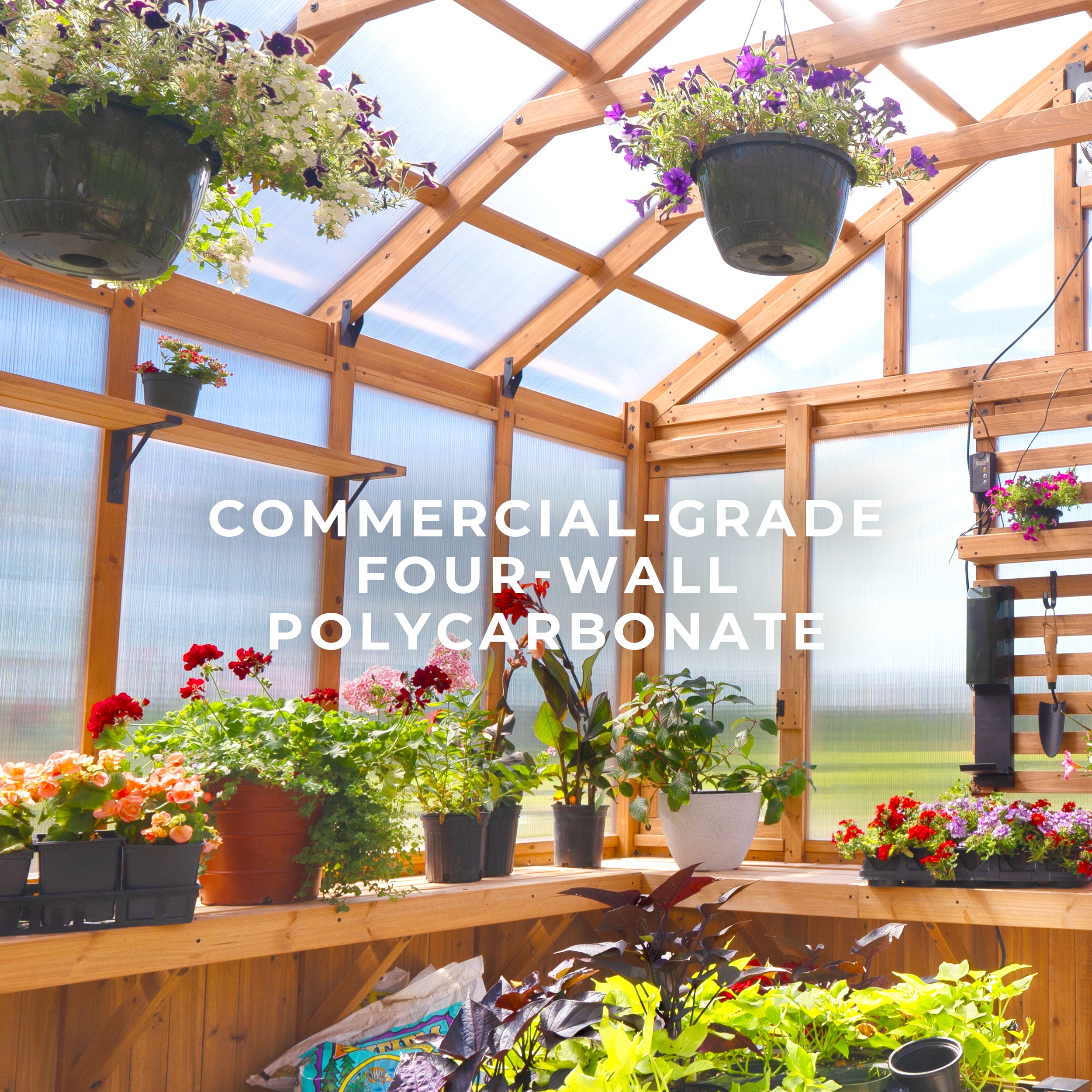 3.9m X 3.5m Bellerose Greenhouse four-wall polycarbonate