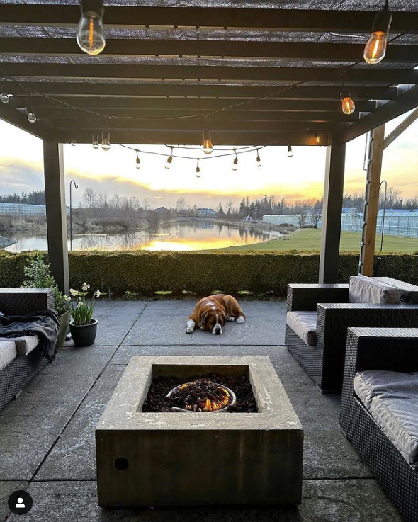 Photo of pergola with dog