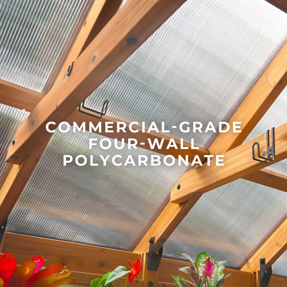 Interior view of a powder-coated steel-framed greenhouse roof with 4-wall polycarbonate panels and metal hanging hooks.