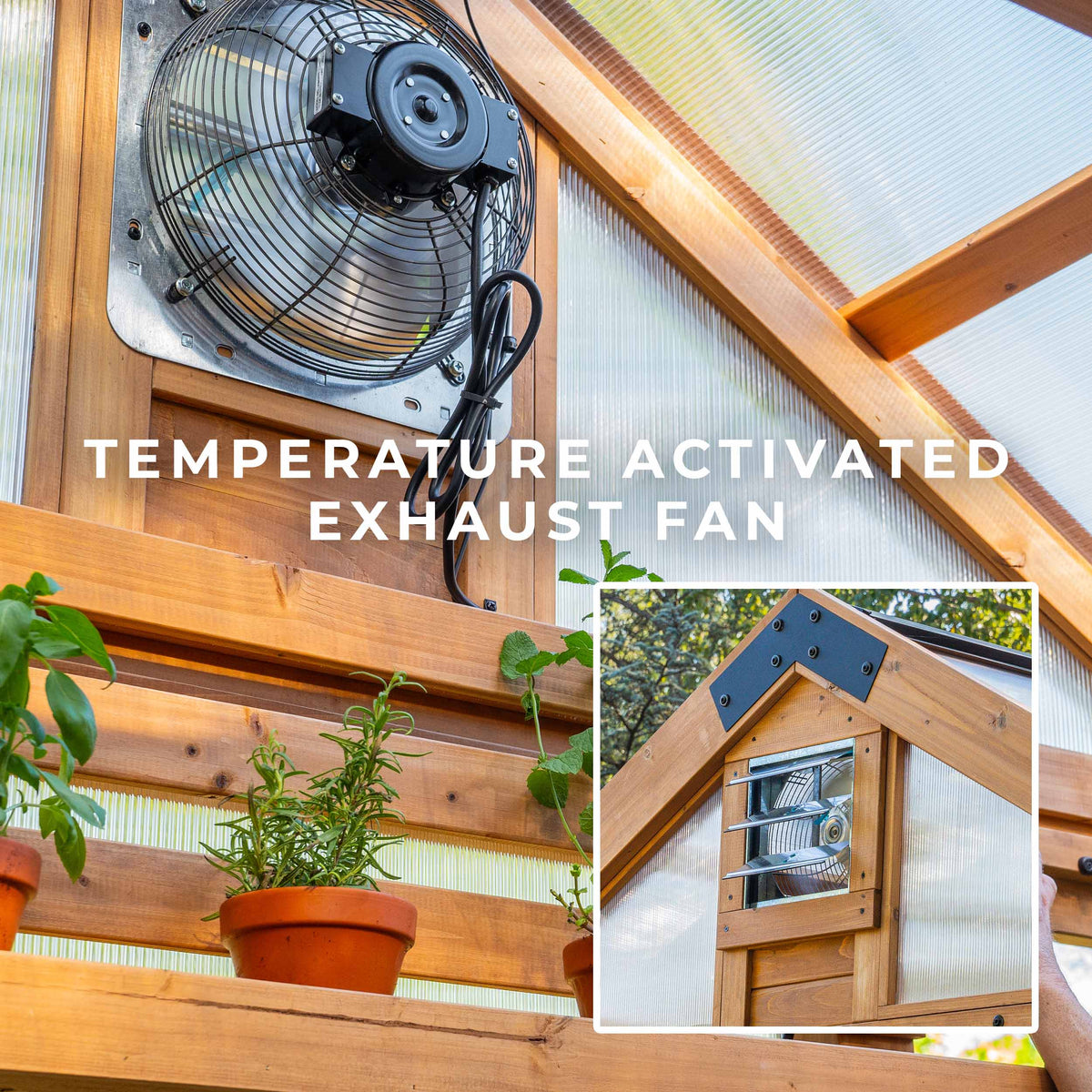 Bellerose thermostat-activated exhaust fan mounted high on cedar wall above plant shelves on a backyard greenhouse.