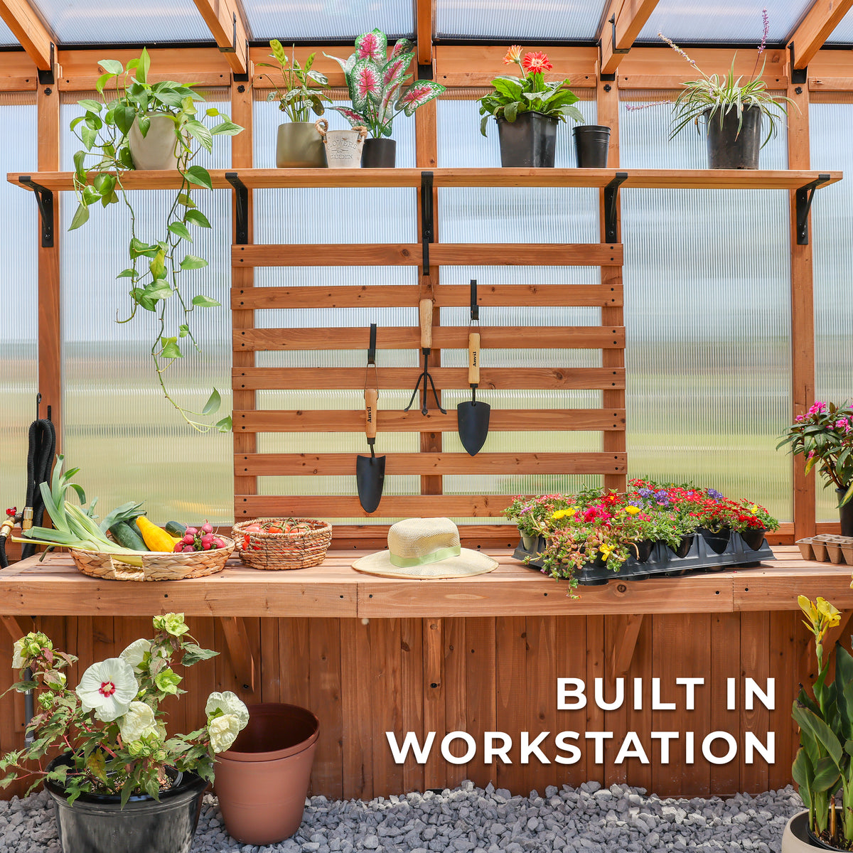 Poppy greenhouse with built-in vertical slat wall and cedar staging shelves with fresh vegetables and seedling trays.