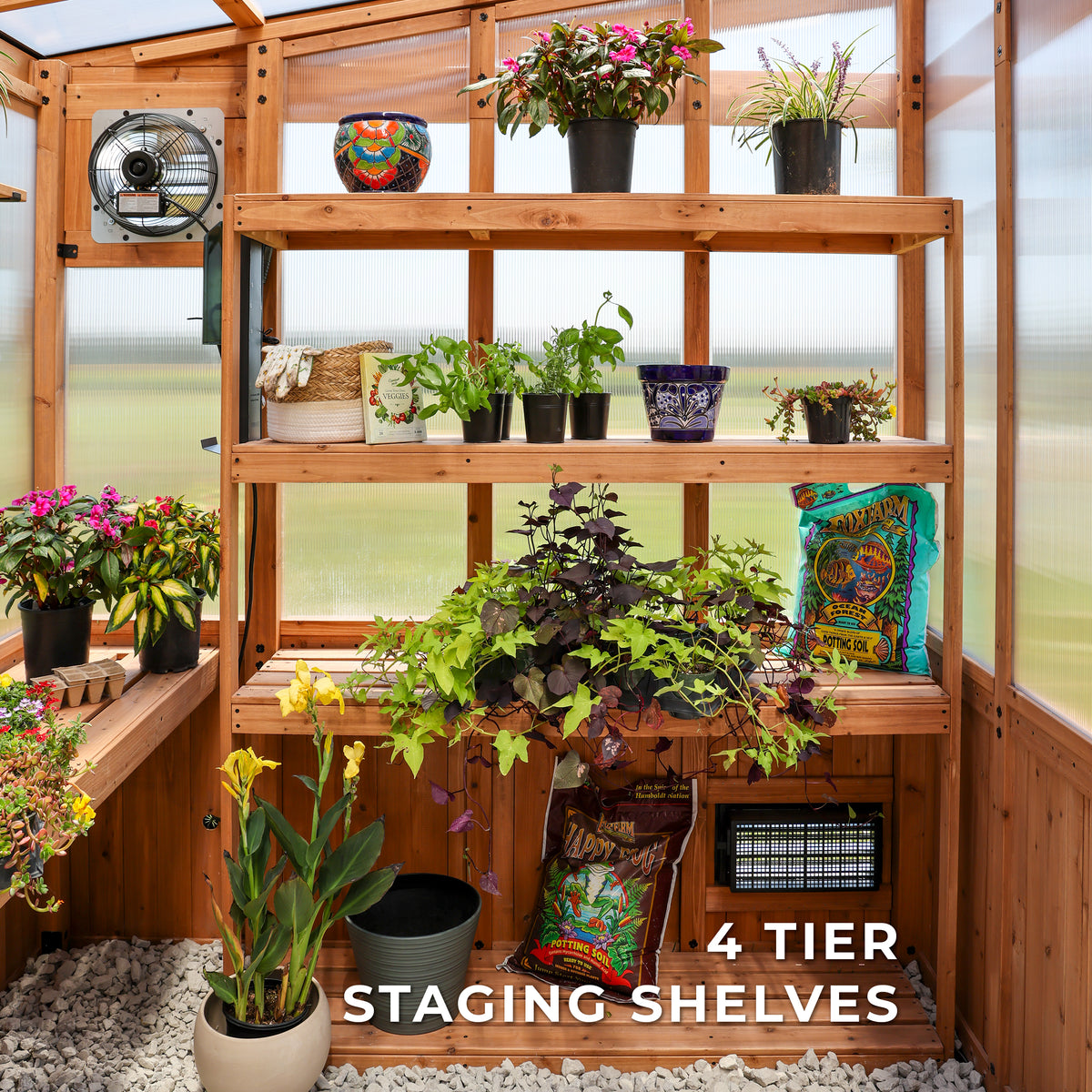 Four-tier cedar staging shelves holding potted plants, herbs, and bags of potting soil inside a wooden greenhouse.