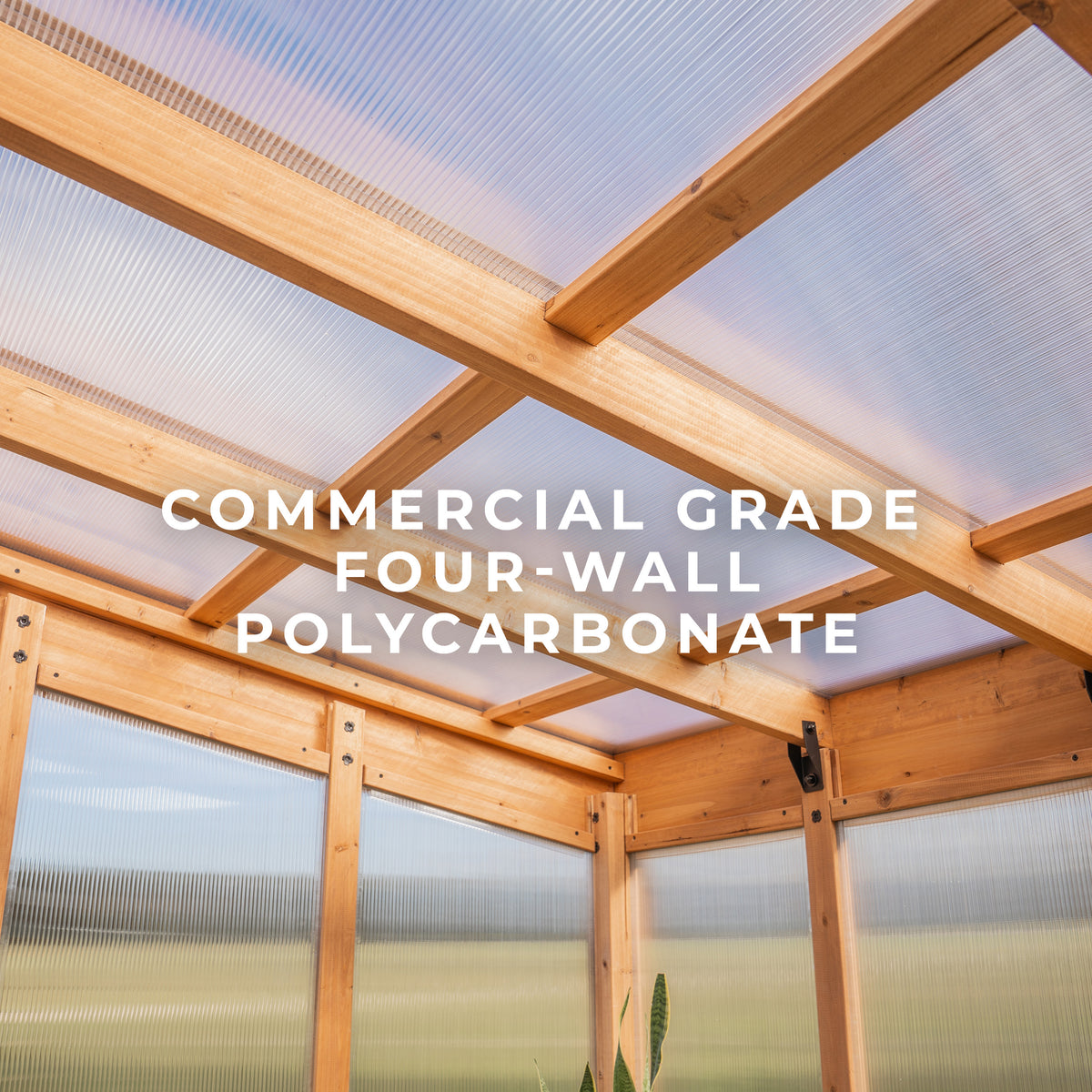 Interior cedar frame and commercial-grade 4-wall polycarbonate panels of the Willow greenhouse roof and walls.