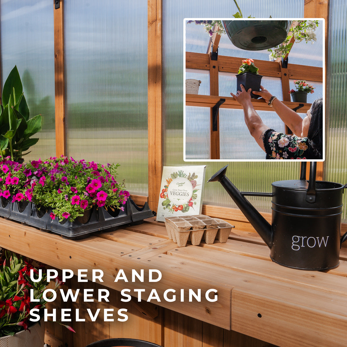 Cedar staging shelves hold potted flowers, seed trays, and a watering can inside the Bellerose XL wooden greenhouse.